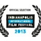 10th Indianapolis International Film Festival